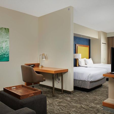 Springhill Suites By Marriott Baton Rouge North / Airport Εξωτερικό φωτογραφία